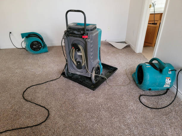Best Water damage contractors near me  in Lake Mills, IA
