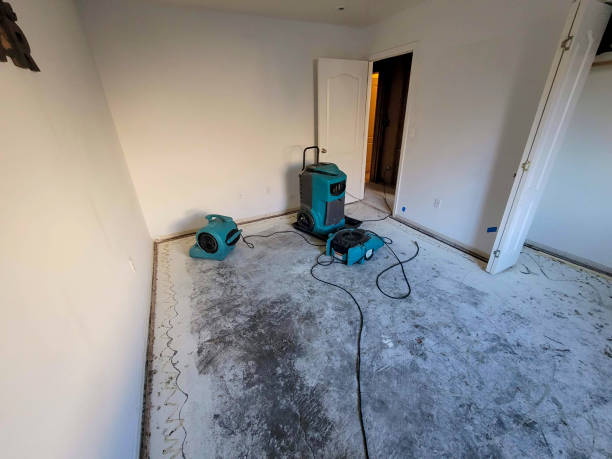  Lake Mills, IA Water damage restoration Pros