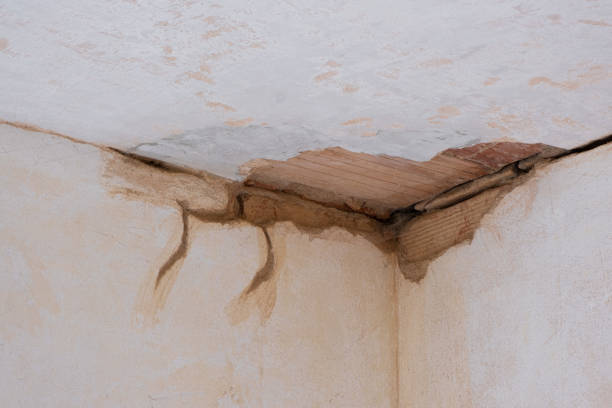 Best Basement water damage restoration  in Lake Mills, IA