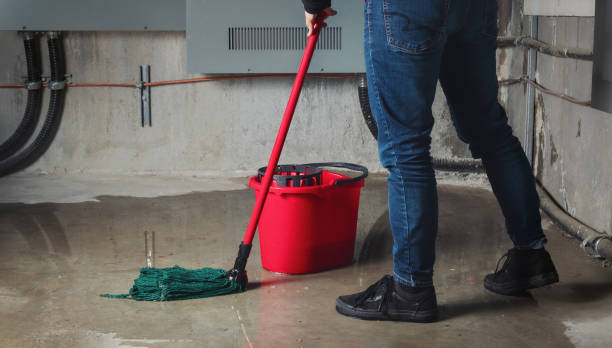Best Fire Damage Restoration  in Lake Mills, IA
