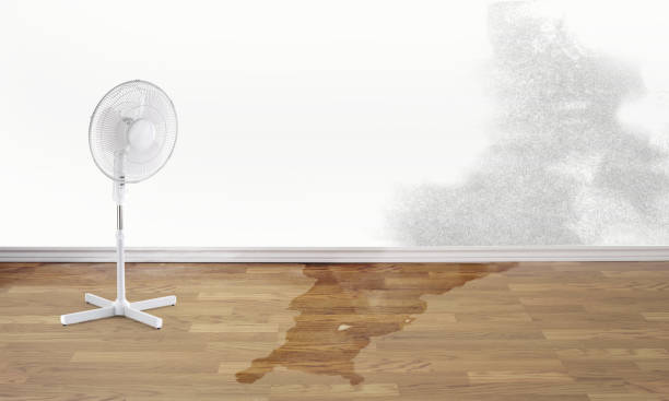 Best Water damage restoration near me  in Lake Mills, IA