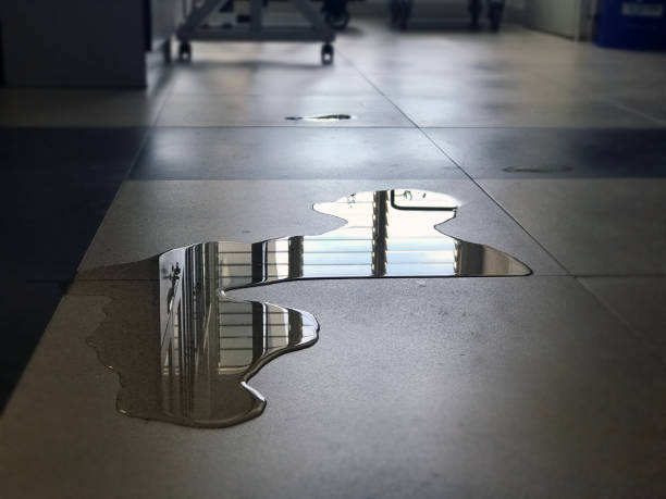 Best Water damage restoration near me  in Lake Mills, IA