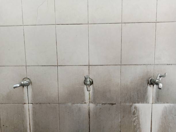 Best Flooded house restoration  in Lake Mills, IA