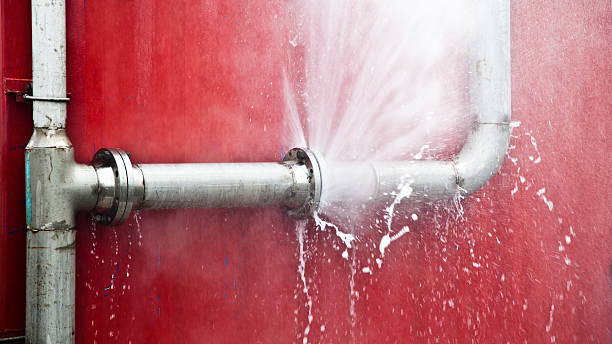 Best Flood restoration services  in Lake Mills, IA