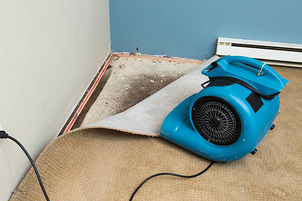 Best Water damage restoration services  in Lake Mills, IA